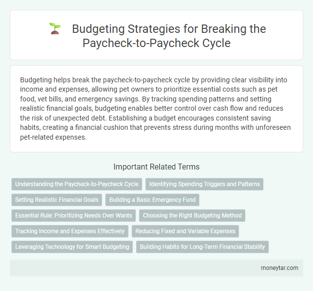 Budgeting Strategies for Breaking the Paycheck-to-Paycheck Cycle