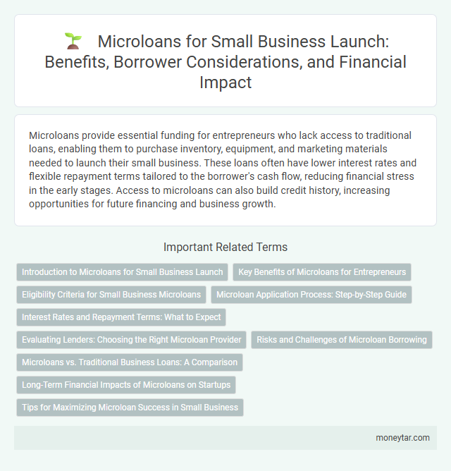 Microloans for Small Business Launch: Benefits, Borrower Considerations, and Financial Impact