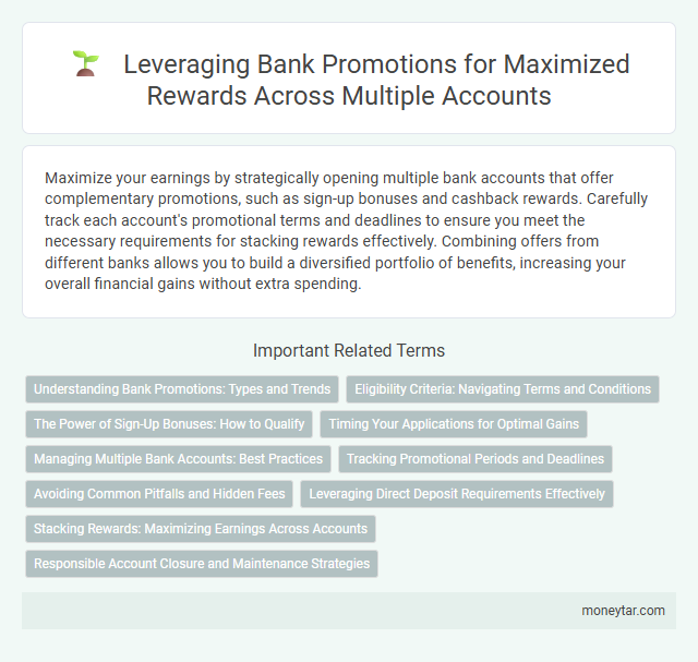 Leveraging Bank Promotions for Maximized Rewards Across Multiple Accounts