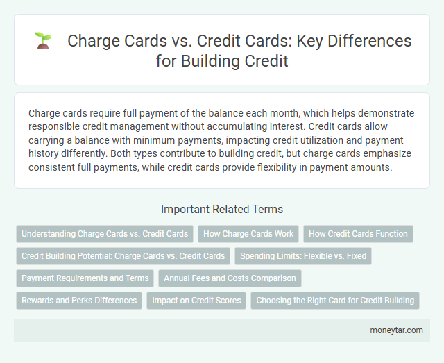 Charge Cards vs. Credit Cards: Key Differences for Building Credit