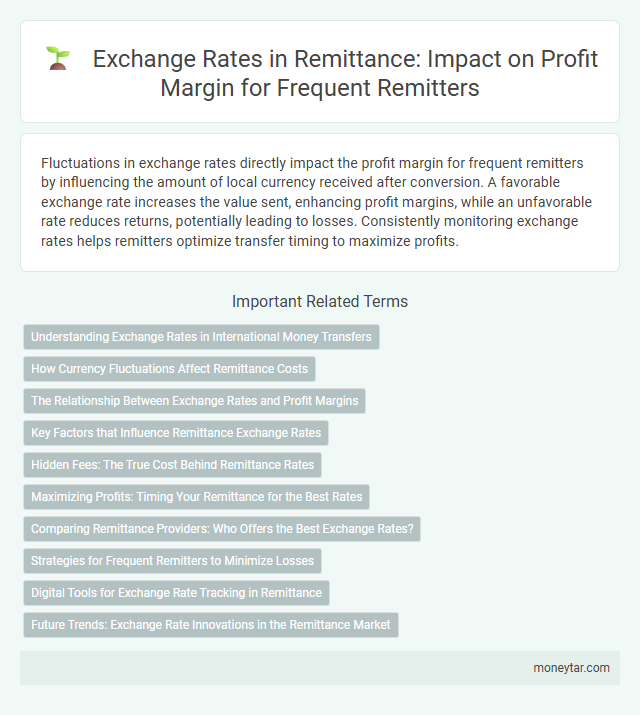 Exchange Rates in Remittance: Impact on Profit Margin for Frequent Remitters