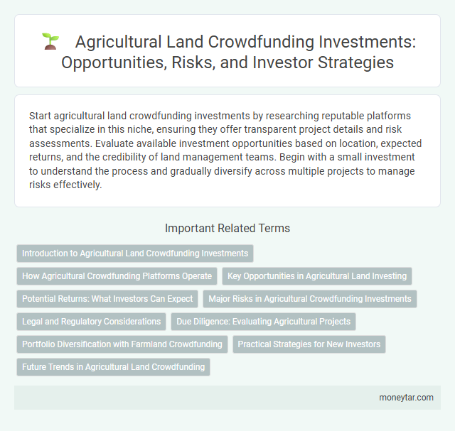 Agricultural Land Crowdfunding Investments: Opportunities, Risks, and Investor Strategies