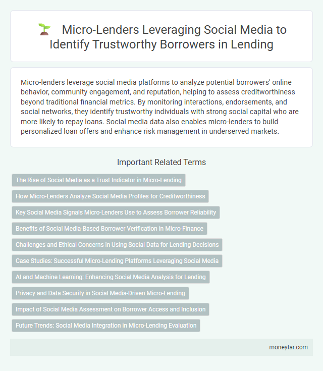 Micro-Lenders Leveraging Social Media to Identify Trustworthy Borrowers in Lending