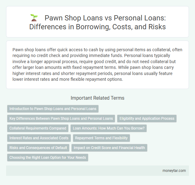 Pawn Shop Loans vs Personal Loans: Differences in Borrowing, Costs, and Risks