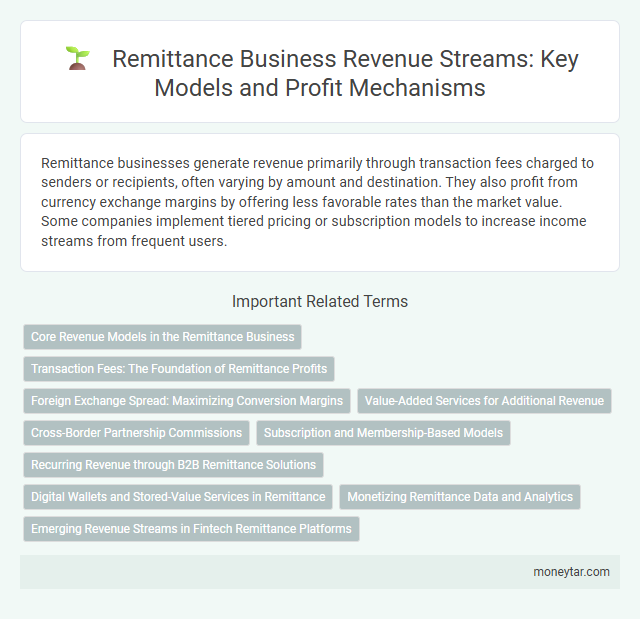 Remittance Business Revenue Streams: Key Models and Profit Mechanisms