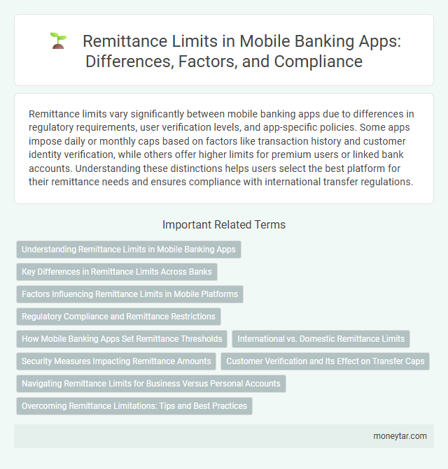 Remittance Limits in Mobile Banking Apps: Differences, Factors, and Compliance