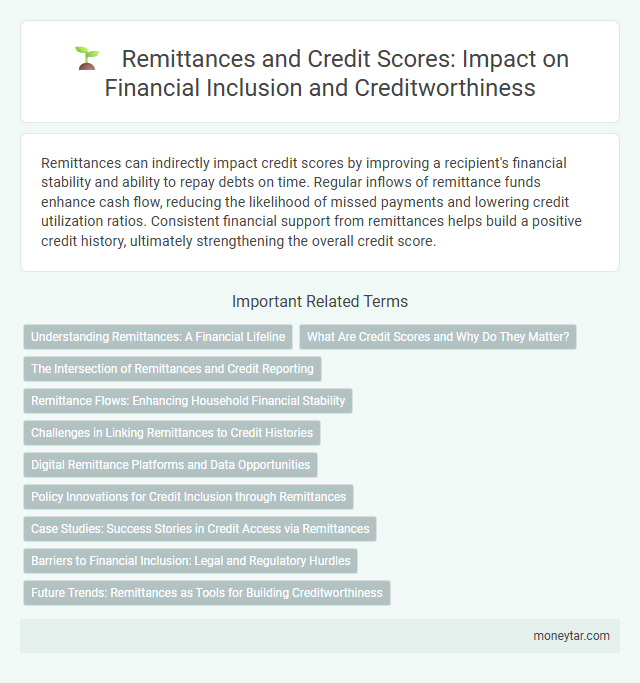 Remittances and Credit Scores: Impact on Financial Inclusion and Creditworthiness