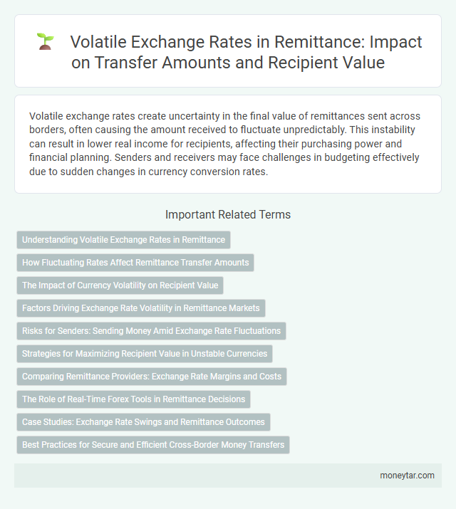 Volatile Exchange Rates in Remittance: Impact on Transfer Amounts and Recipient Value