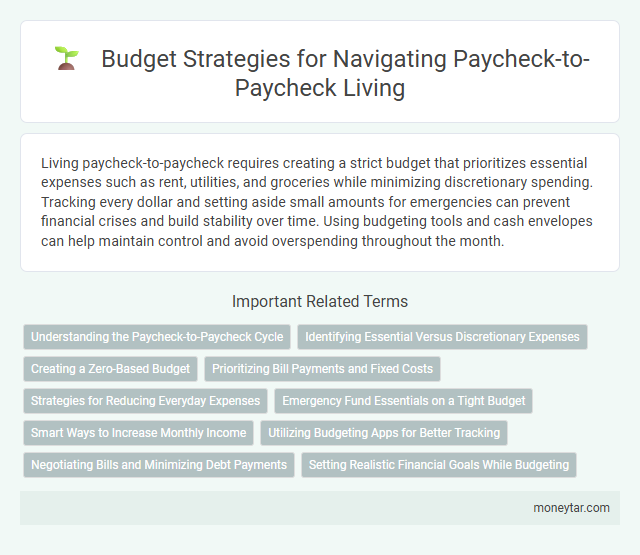 Budget Strategies for Navigating Paycheck-to-Paycheck Living