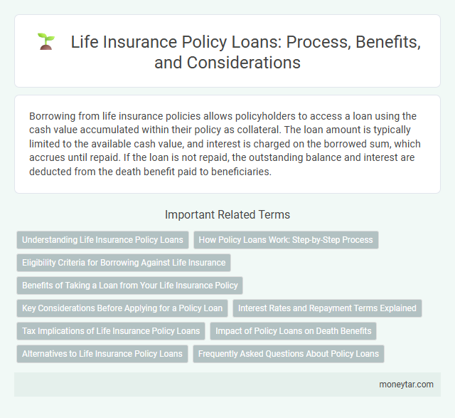 Life Insurance Policy Loans: Process, Benefits, and Considerations