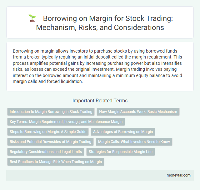 Borrowing on Margin for Stock Trading: Mechanism, Risks, and Considerations