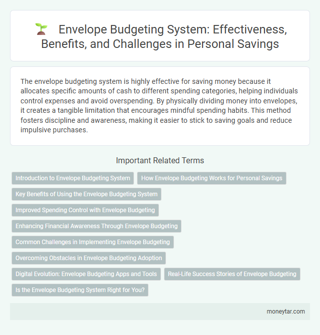 Envelope Budgeting System: Effectiveness, Benefits, and Challenges in Personal Savings