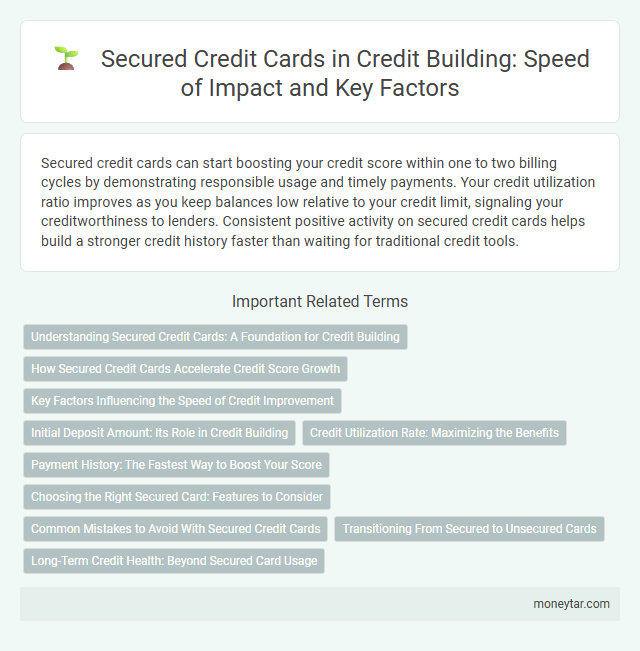Secured Credit Cards in Credit Building: Speed of Impact and Key Factors