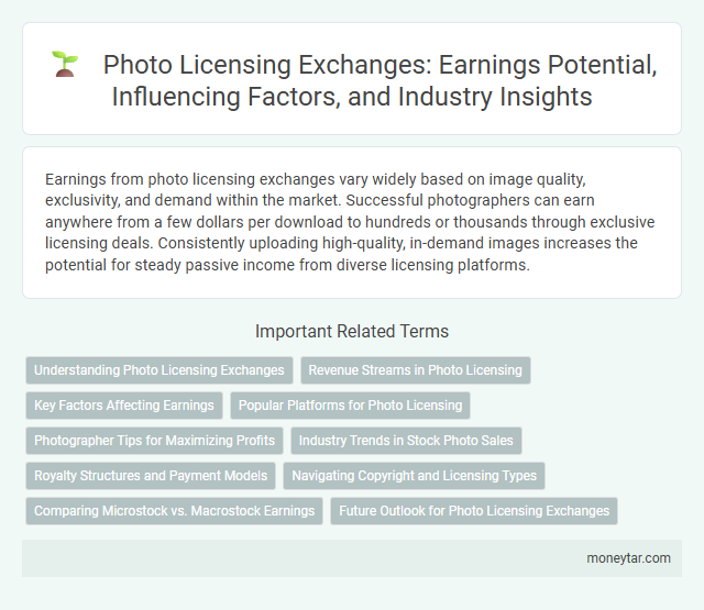 Photo Licensing Exchanges: Earnings Potential, Influencing Factors, and Industry Insights