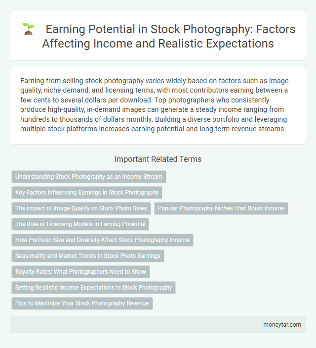 Earning Potential in Stock Photography: Factors Affecting Income and Realistic Expectations