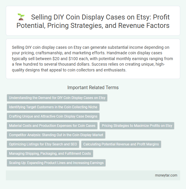 Selling DIY Coin Display Cases on Etsy: Profit Potential, Pricing Strategies, and Revenue Factors