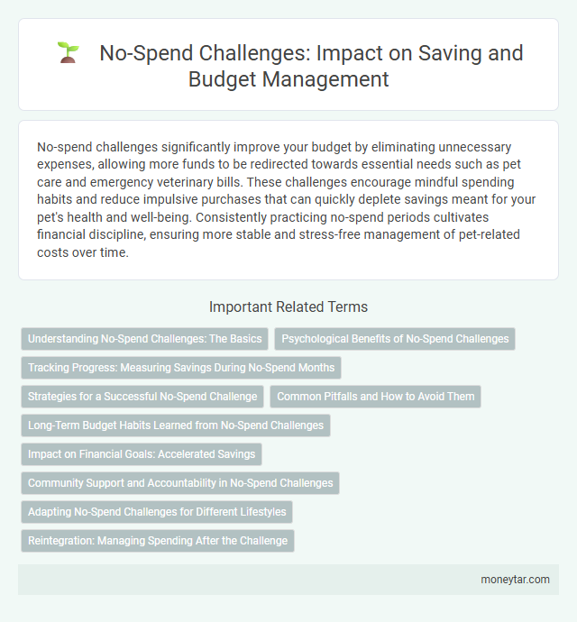 No-Spend Challenges: Impact on Saving and Budget Management