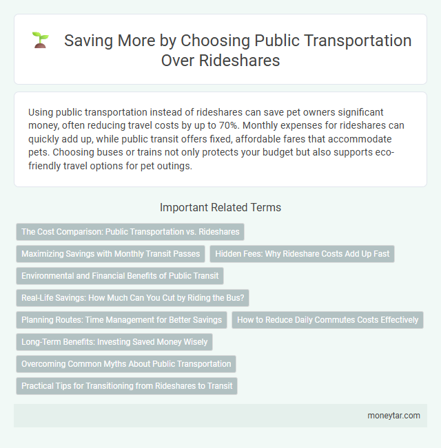 Saving More by Choosing Public Transportation Over Rideshares