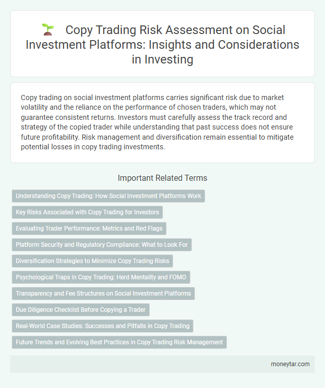 Copy Trading Risk Assessment on Social Investment Platforms: Insights and Considerations in Investing