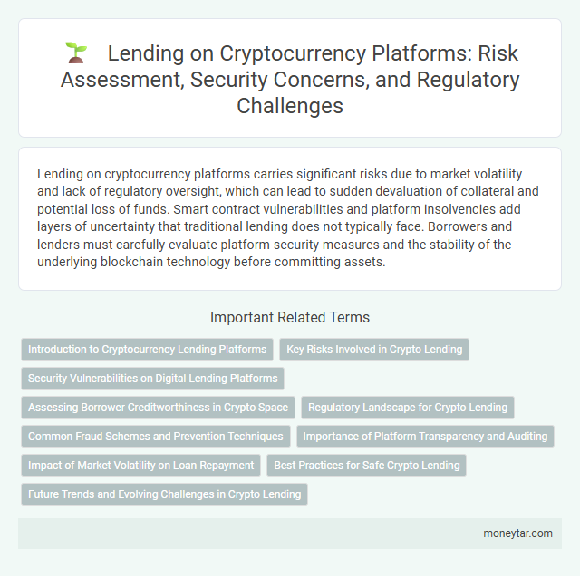 Lending on Cryptocurrency Platforms: Risk Assessment, Security Concerns, and Regulatory Challenges