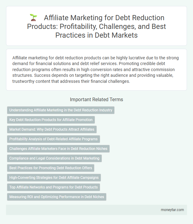 Affiliate Marketing for Debt Reduction Products: Profitability, Challenges, and Best Practices in Debt Markets