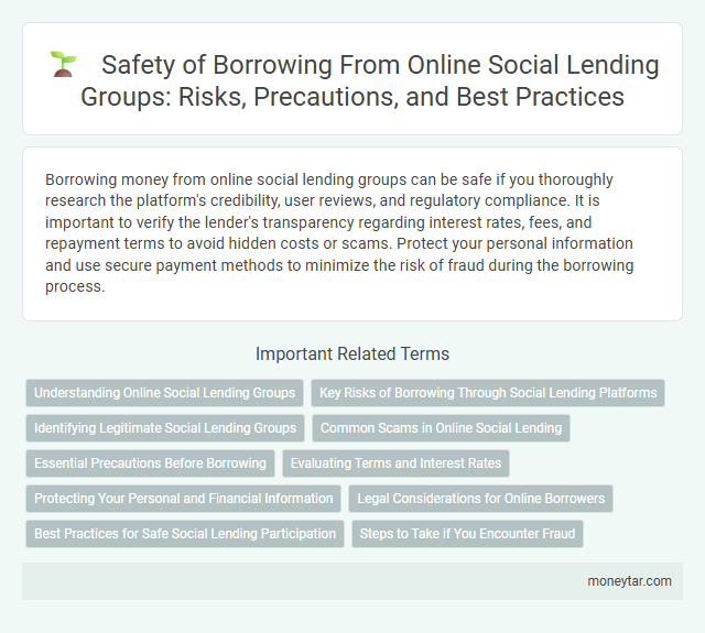 Safety of Borrowing From Online Social Lending Groups: Risks, Precautions, and Best Practices