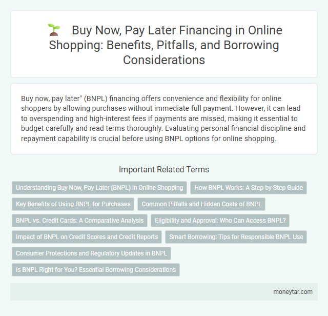 Buy Now, Pay Later Financing in Online Shopping: Benefits, Pitfalls, and Borrowing Considerations