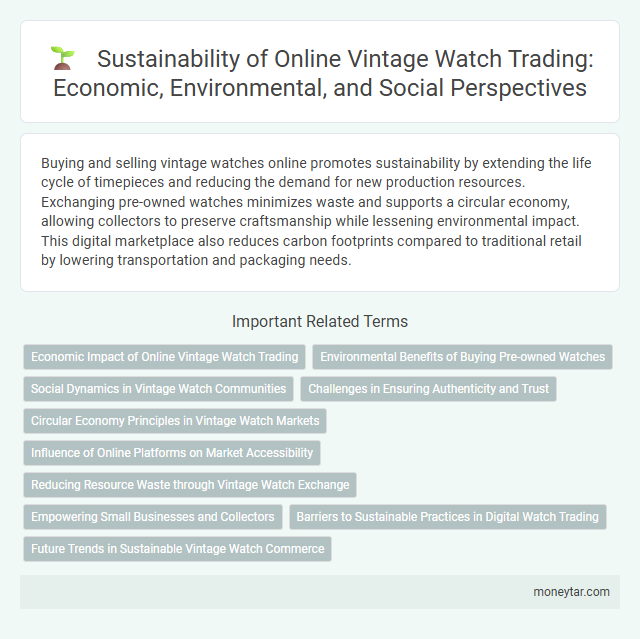 Sustainability of Online Vintage Watch Trading: Economic, Environmental, and Social Perspectives