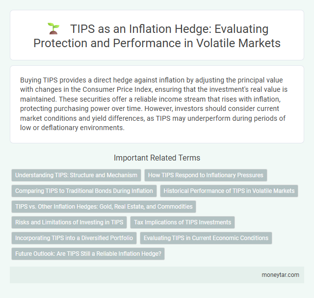 TIPS as an Inflation Hedge: Evaluating Protection and Performance in Volatile Markets