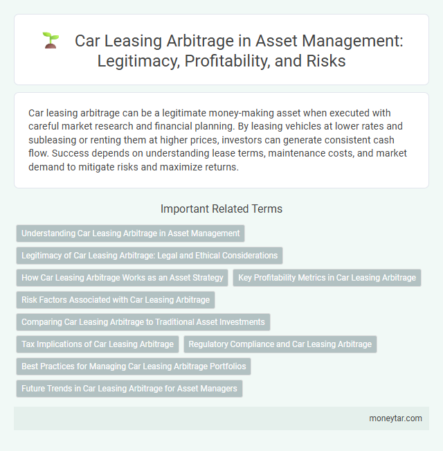 Car Leasing Arbitrage in Asset Management: Legitimacy, Profitability, and Risks