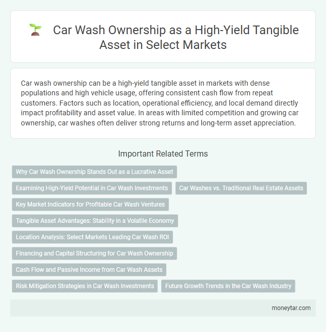Car Wash Ownership as a High-Yield Tangible Asset in Select Markets