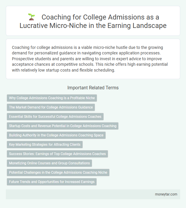 Coaching for College Admissions as a Lucrative Micro-Niche in the Earning Landscape