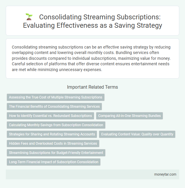 Consolidating Streaming Subscriptions: Evaluating Effectiveness as a Saving Strategy