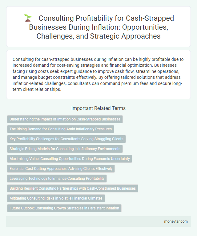 Consulting Profitability for Cash-Strapped Businesses During Inflation: Opportunities, Challenges, and Strategic Approaches