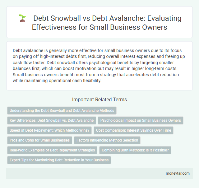 Debt Snowball vs Debt Avalanche: Evaluating Effectiveness for Small Business Owners