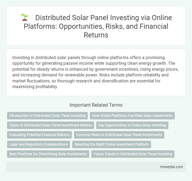 Distributed Solar Panel Investing via Online Platforms: Opportunities, Risks, and Financial Returns
