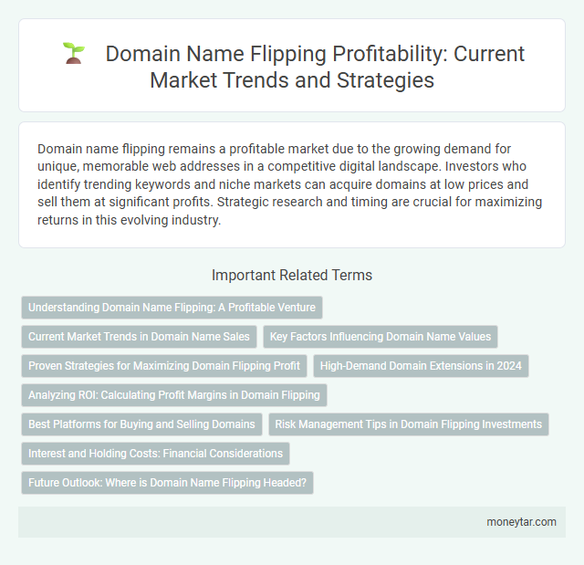 Domain Name Flipping Profitability: Current Market Trends and Strategies