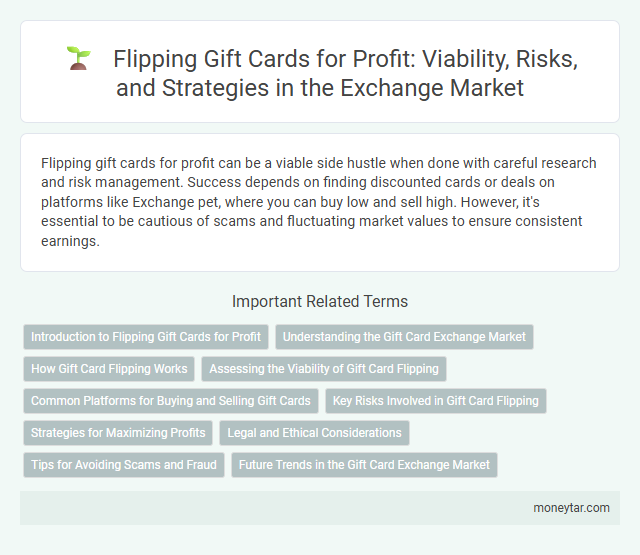 Flipping Gift Cards for Profit: Viability, Risks, and Strategies in the Exchange Market