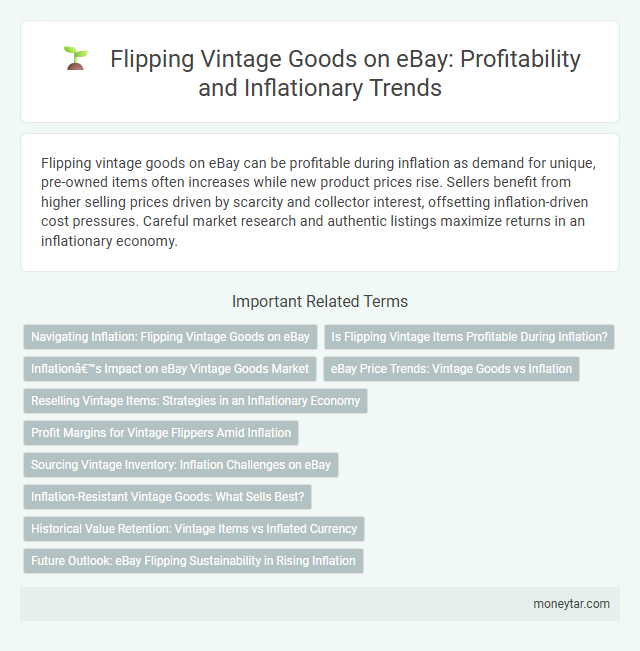 Flipping Vintage Goods on eBay: Profitability and Inflationary Trends