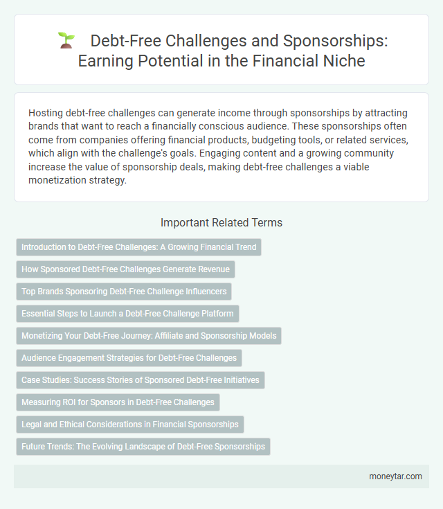 Debt-Free Challenges and Sponsorships: Earning Potential in the Financial Niche