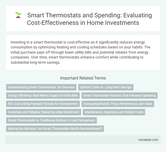 Smart Thermostats and Spending: Evaluating Cost-Effectiveness in Home Investments