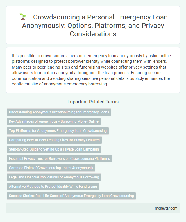 Crowdsourcing a Personal Emergency Loan Anonymously: Options, Platforms, and Privacy Considerations