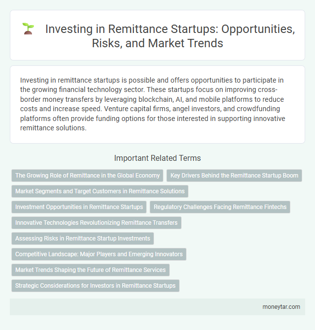Investing in Remittance Startups: Opportunities, Risks, and Market Trends