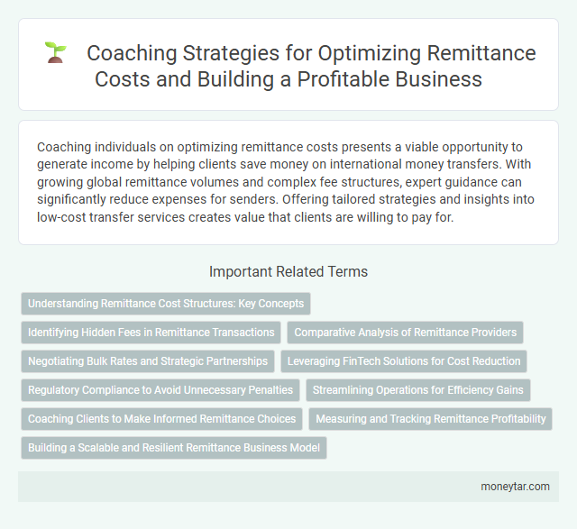 Coaching Strategies for Optimizing Remittance Costs and Building a Profitable Business