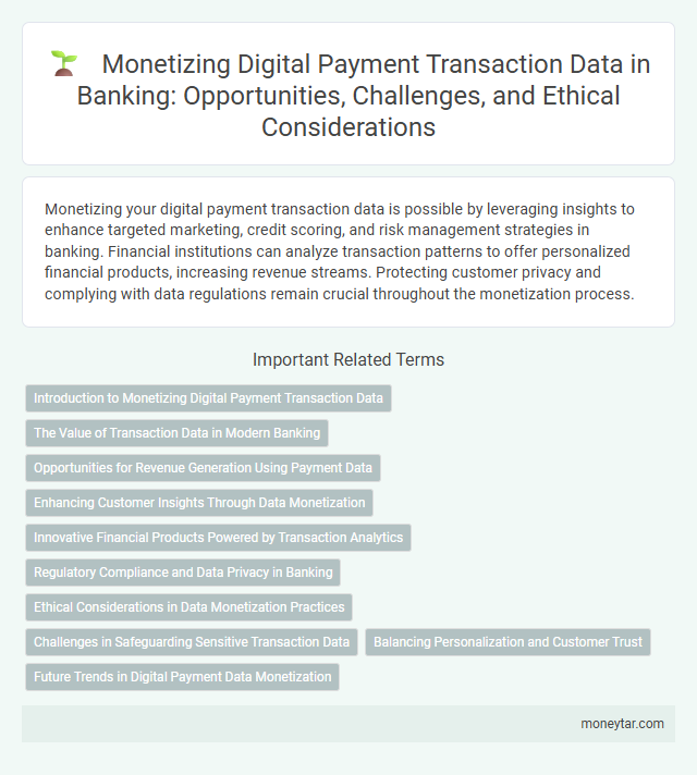 Monetizing Digital Payment Transaction Data in Banking: Opportunities, Challenges, and Ethical Considerations