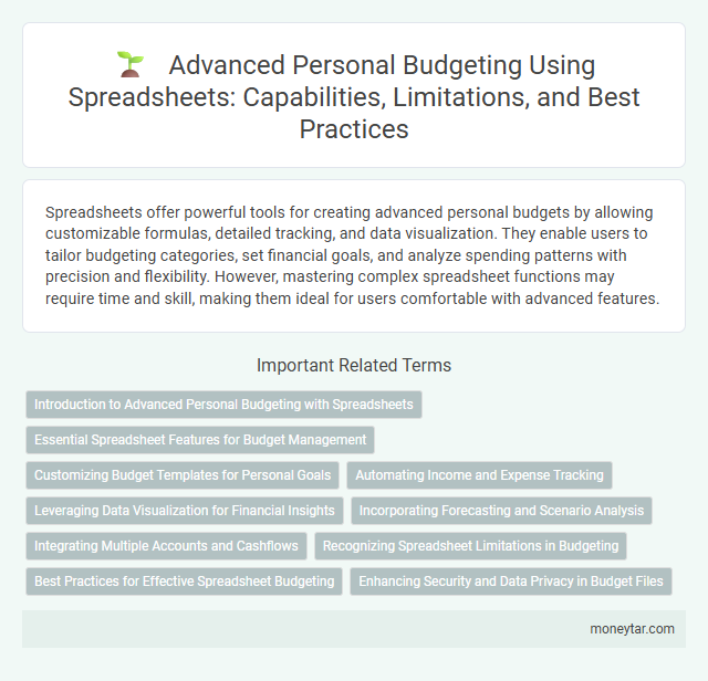 Advanced Personal Budgeting Using Spreadsheets: Capabilities, Limitations, and Best Practices