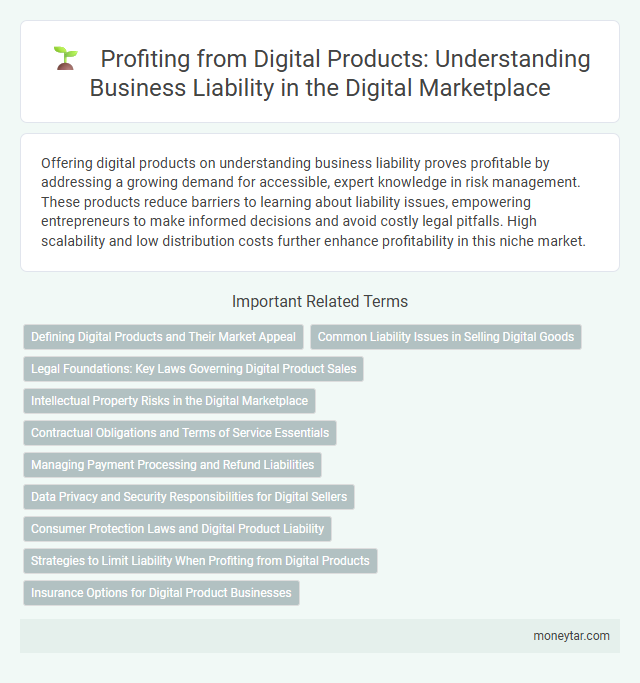 Profiting from Digital Products: Understanding Business Liability in the Digital Marketplace