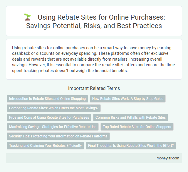 Using Rebate Sites for Online Purchases: Savings Potential, Risks, and Best Practices