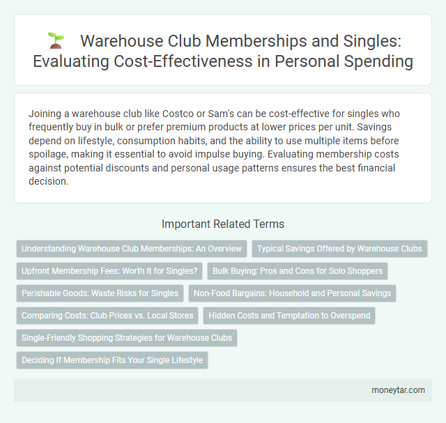 Warehouse Club Memberships and Singles: Evaluating Cost-Effectiveness in Personal Spending