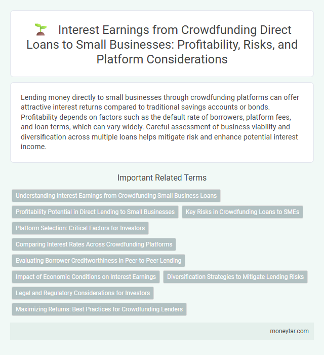 Interest Earnings from Crowdfunding Direct Loans to Small Businesses: Profitability, Risks, and Platform Considerations